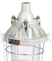 供应隔爆型防爆灯，防爆灯，防爆荧光灯