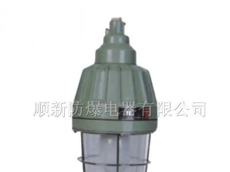 供应系列隔爆型防爆灯（ⅡC级