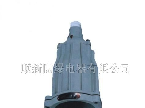 供应隔爆型防爆视孔灯