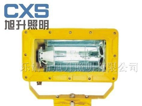 供应CBFC8100外场防爆强光泛光灯，道路灯