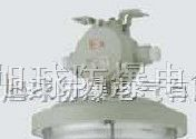 防爆环形荧光灯dYD防爆环形荧光灯价格防爆节能荧光灯