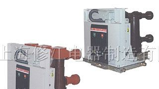 优质供应固封式户内高压真空断路器VEP