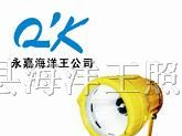 矿用隔爆型投光灯 DGS70-127B（A） 海洋王灯具