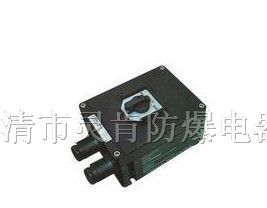 ZXF8030/51系列防爆防腐照明开关(ⅡC)