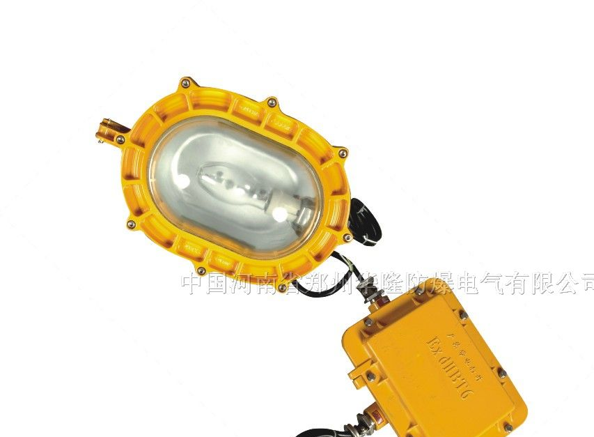 供应BFC8120防爆泛光灯