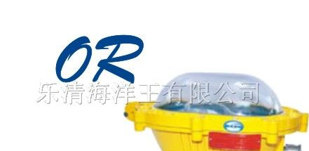 供应乐清海洋王BFC8920内场强光粉尘防爆灯 灯具照明