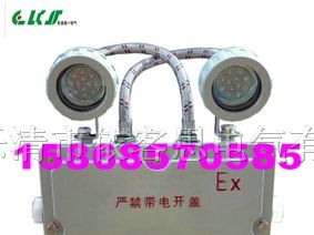 BYJD51 防爆应急灯|BYJD51|依客思防爆应急灯|