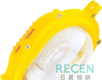 供应R-BFC8120内场防爆强光泛光灯
