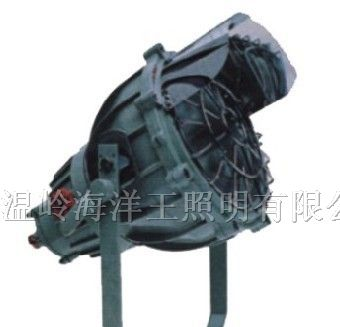 供应BAT51系列防爆投光灯(II B 、II C)