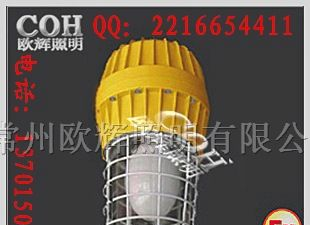 供应BAD83防爆无极灯_江苏防爆照明灯