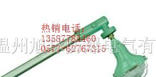 供应温州BCD防爆平台灯价格防爆马路灯BCM防爆马路灯