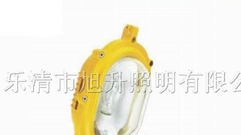 供应CBFC8120内场防爆强光泛光灯