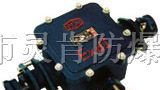 BHD2-200A-2/3/4T隔爆型电缆接线盒