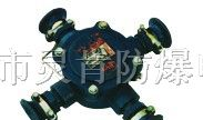 BHD2-40A-2/3/4T隔爆型电缆接线盒