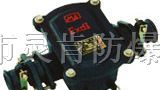 BHD2-100A-2T隔爆型电缆接线盒