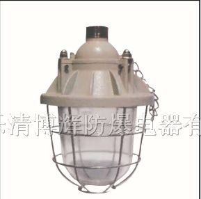 供应BAD51-100隔爆型防爆灯