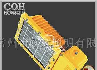 BAT53 LED防爆泛光灯_一体式防爆泛光灯