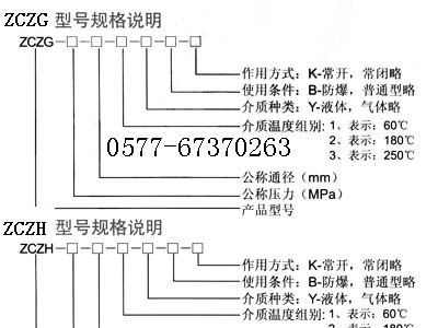供应ZCZG高温高压电磁阀，高温电磁阀，蒸汽电磁阀