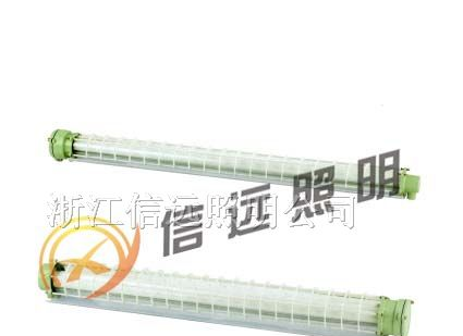 供应XY-BCX6227/BCX6228防爆荧光灯