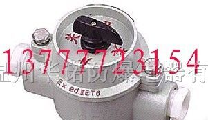 供应防爆照明开关BZM-10，SW-10防爆照明开关