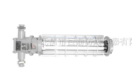 供应DGS10/127V矿用隔爆型LED荧光灯，LED荧光灯