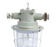 供应DGS60/127B(T)矿用隔爆型白炽灯,127V白炽灯