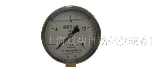 供应YN系列耐震压力表