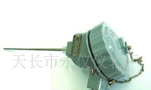 防爆铠装热电阻PT100