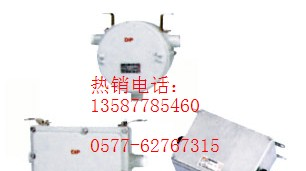 供应BdH防爆镇流器圆形防爆镇流器方形镇流器