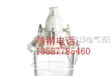 供应BCD250隔爆型防爆灯内装白炽灯隔爆型防爆灯
