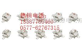 供应AH防爆接线盒-防腐AH防爆接线盒铝合金材质