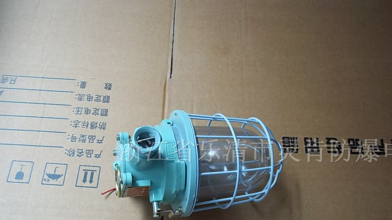 供应DGS60/127B(T)矿用白炽灯,隔爆型白炽灯
