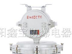 供应BYH-H/CBHY/BAY-H系列防爆环形荧光灯(IIB、IIC)