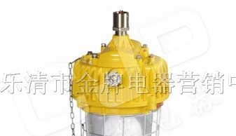 供应BPC8731|BPC8731防爆平台灯