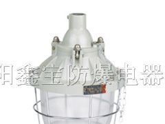 供应B3C-200大型系列隔爆型防爆灯(IIB)