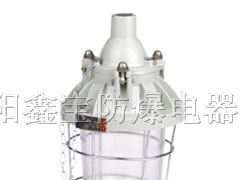 供应B3C-200小型系列隔爆型防爆灯(IIB)