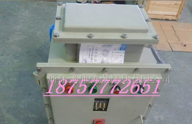 供应防爆变频器，BQXR-P防爆变频器