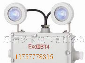 供应BAJ52-A防爆应急灯，BAJ52-A浙江防爆应急灯