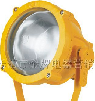 供应BTC8200|BTC8200防爆投光灯