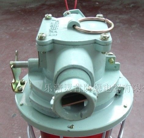 供应DGS60/127B(T)矿用隔爆型信号灯、防爆白炽灯