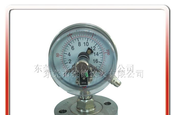 供应 100MFX-C002 100MM径向法兰式隔膜压力表