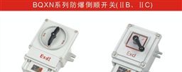 【防爆电器】BQXN系列防爆倒顺开关防爆开关