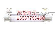 供应BAY51隔爆型防爆荧光灯单管双管防爆荧光灯