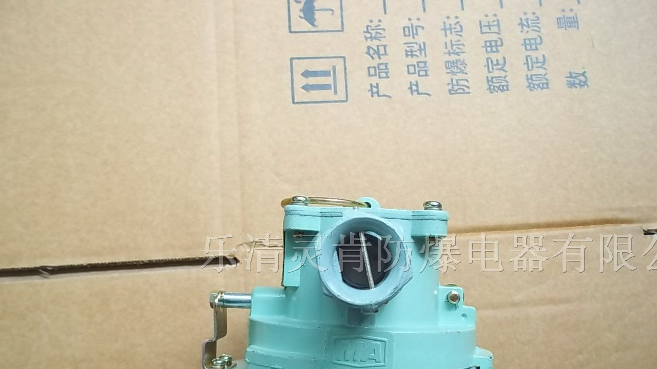 供应隔爆型白炽灯顶口-螺口矿用隔爆型信号灯红色灯罩