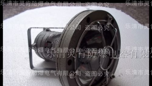 供应矿用防爆投光灯-DGY20/127L隔爆型防爆投光灯