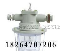 供应DGS-60/127(原KBB)系列隔爆型白炽灯