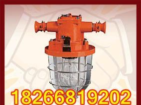 DGS18/127矿用隔爆型巷道灯