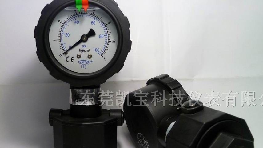 供应4KGPP隔膜压力表 10KGPP隔膜压力表