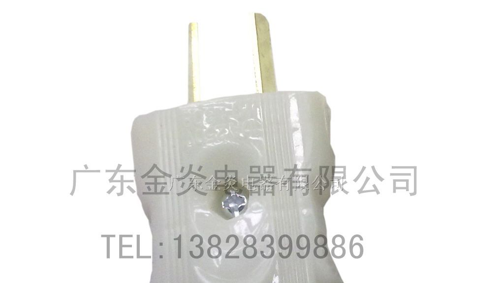 供应两极插头，RCA莲花头，灯头灯座，排插(厂家直销）