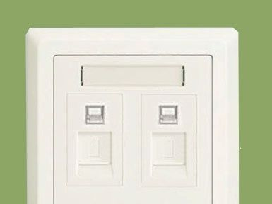 ABB德逸白色二位八芯电脑插座 超5类 RJ45